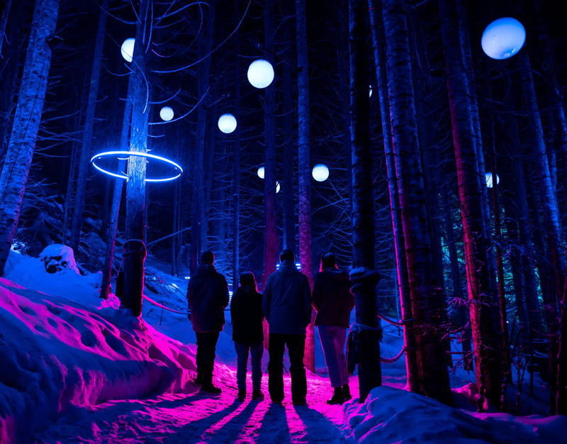 Vallea Lumina Night Walk