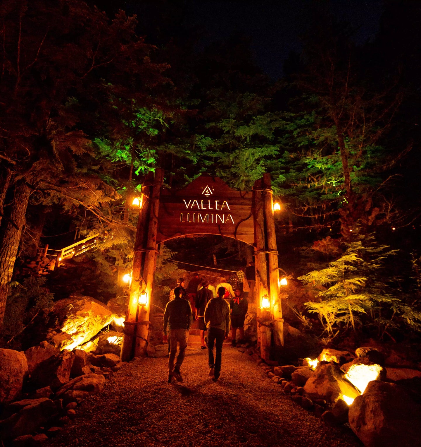Vallea Lumina — Multimedia Night Walk in the Forest
